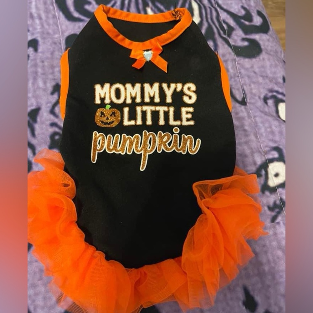 Orange small mommy’s little pumpkin dog dress new but tags are missing